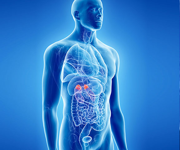 medico-endocrinologista-rio-de-janeiro-tratamentos-10