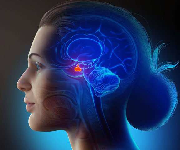 medico-endocrinologista-rio-de-janeiro-tratamentos-4