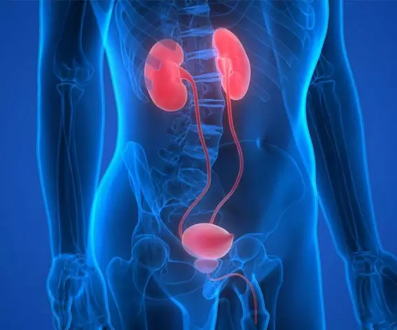 medico-endocrinologista-rio-de-janeiro-tratamentos-7